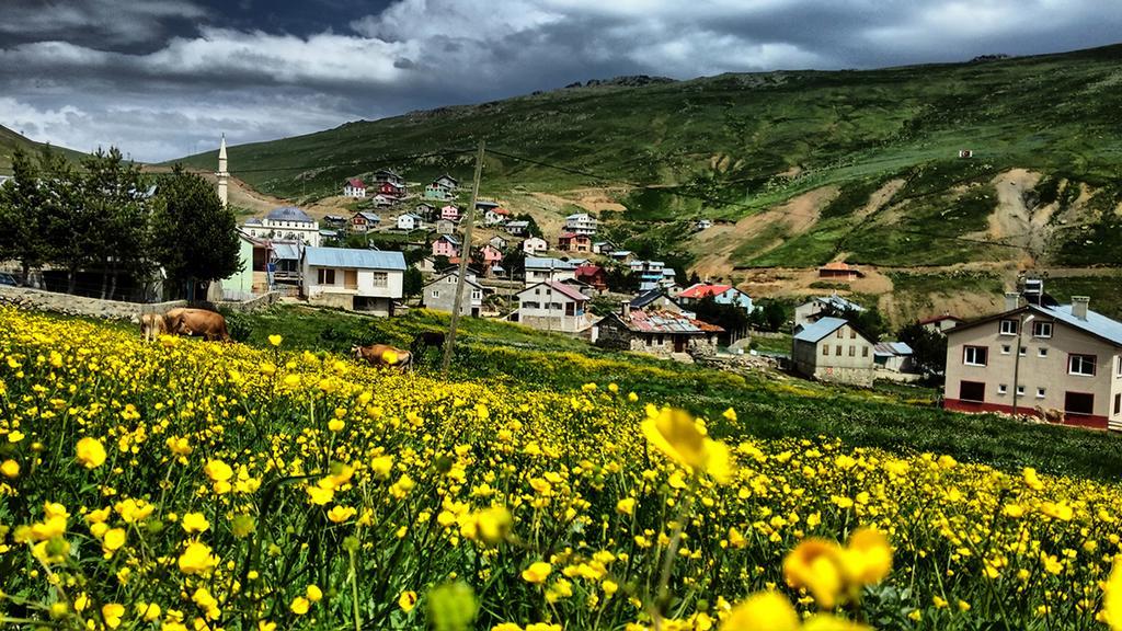 Aydinli Pansiyon Caykara Екстериор снимка